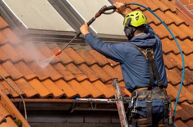 Démoussage et hydrofuge de toiture à Dannemois